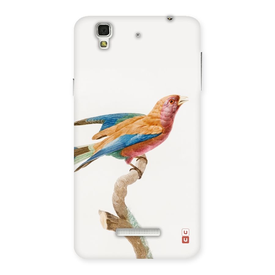 Beautiful Bird Back Case for Yu Yureka