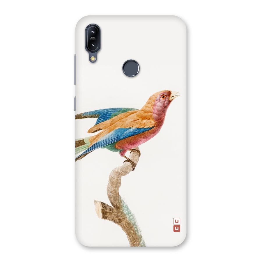 Beautiful Bird Back Case for Zenfone Max M2