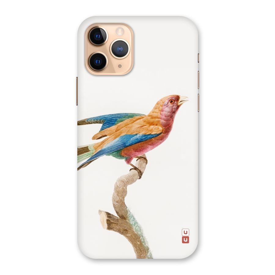 Beautiful Bird Back Case for iPhone 11 Pro