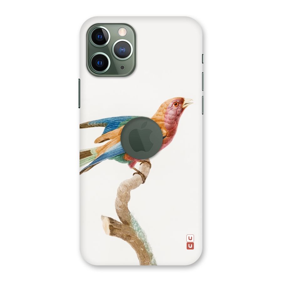 Beautiful Bird Back Case for iPhone 11 Pro Logo  Cut