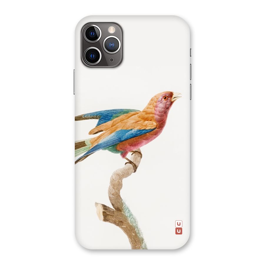 Beautiful Bird Back Case for iPhone 11 Pro Max