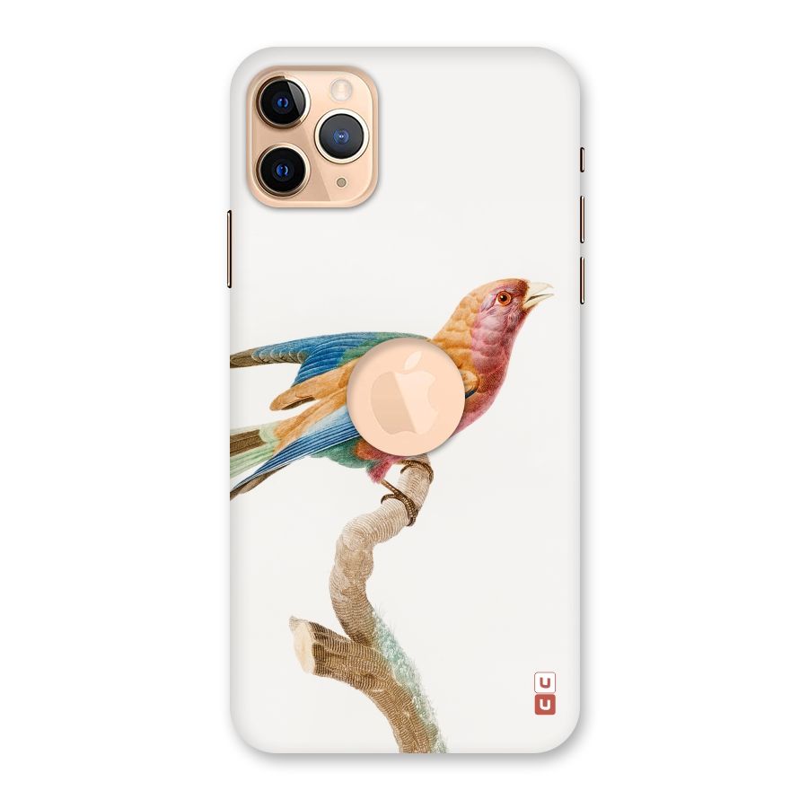 Beautiful Bird Back Case for iPhone 11 Pro Max Logo Cut