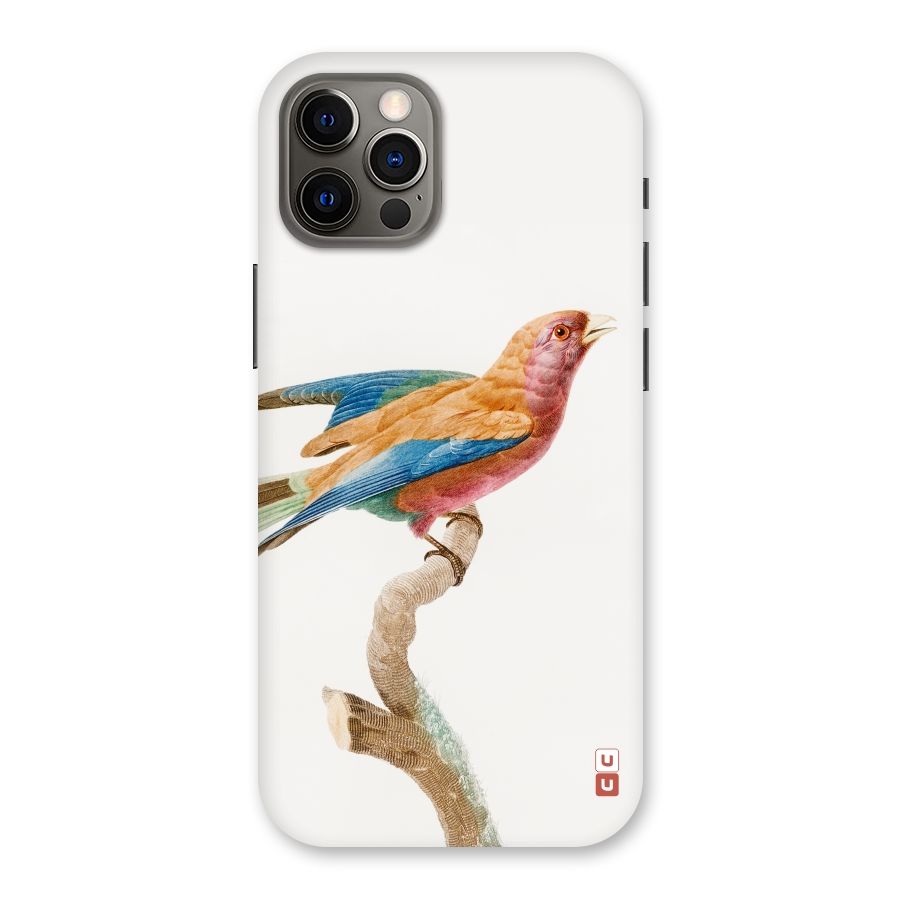 Beautiful Bird Back Case for iPhone 12 Pro