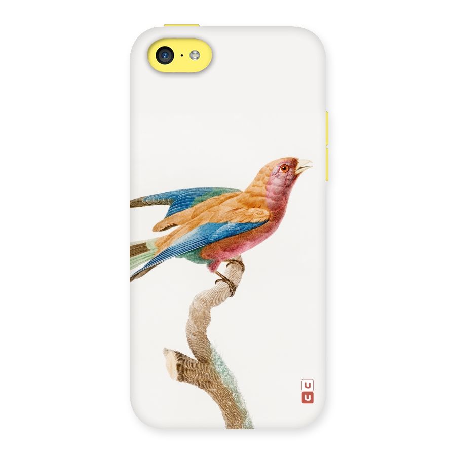 Beautiful Bird Back Case for iPhone 5C