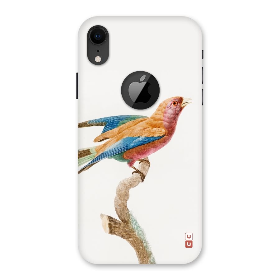 Beautiful Bird Back Case for iPhone XR Logo Cut