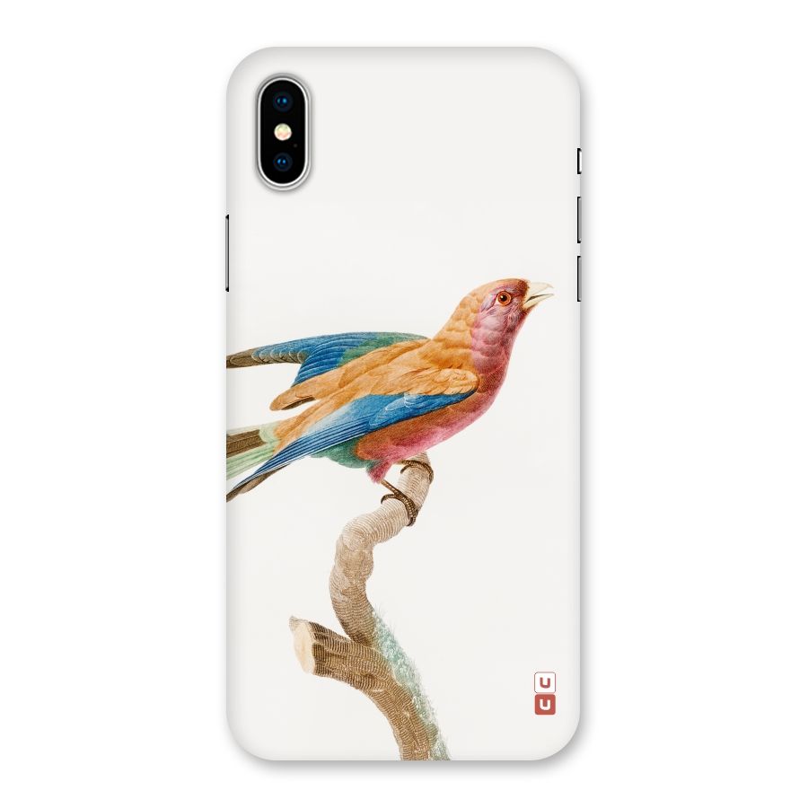 Beautiful Bird Back Case for iPhone XS