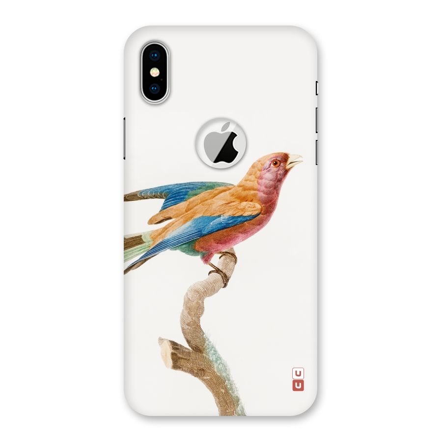 Beautiful Bird Back Case for iPhone X Logo Cut