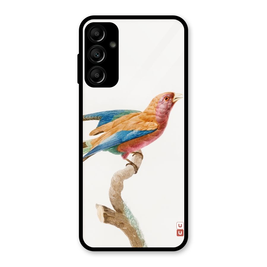 Beautiful Bird Glass Back Case for Galaxy A14 5G