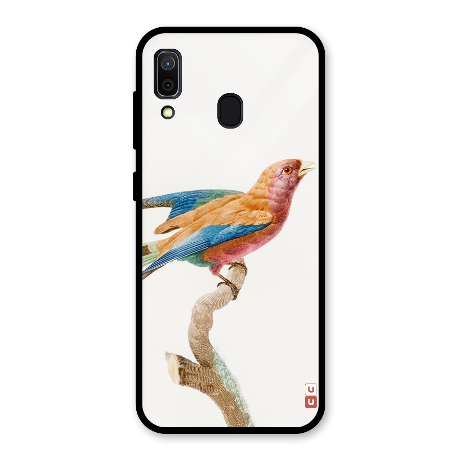 Beautiful Bird Glass Back Case for Galaxy A30