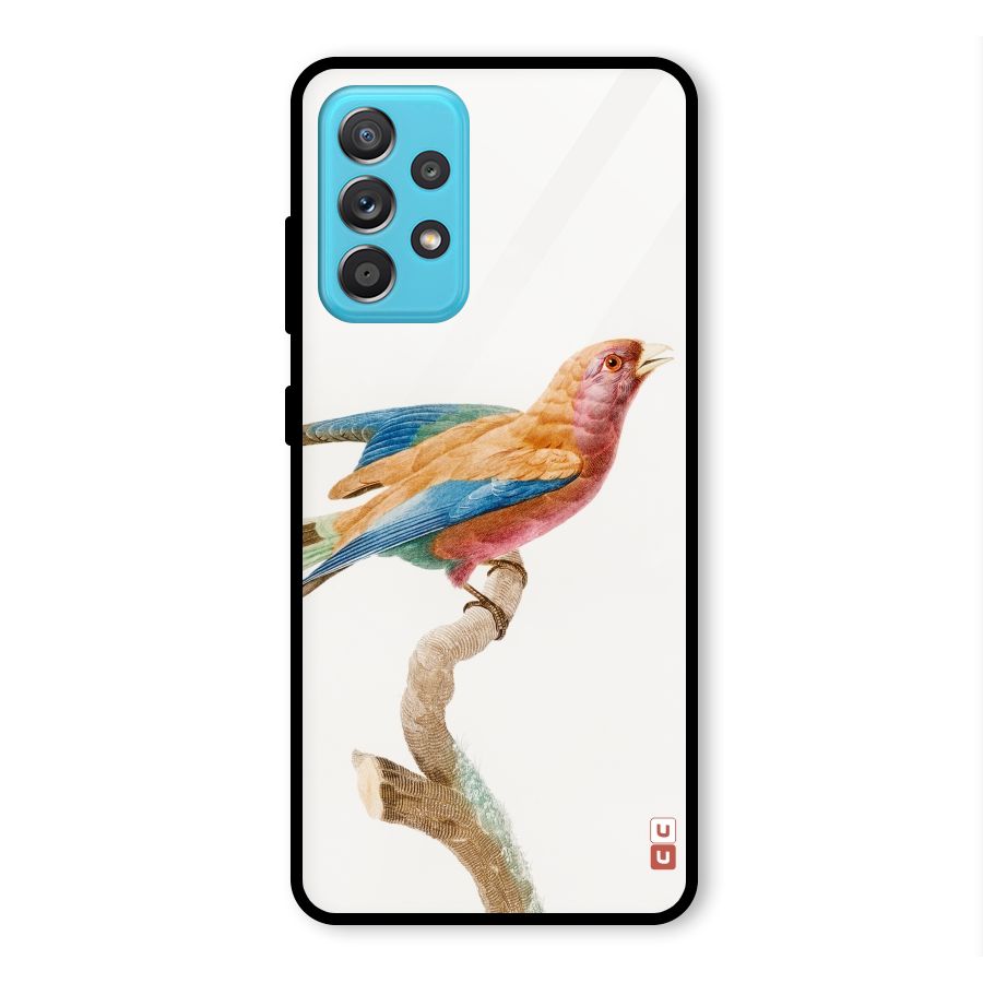 Beautiful Bird Glass Back Case for Galaxy A52