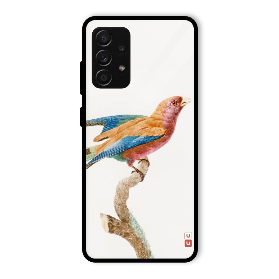 Beautiful Bird Glass Back Case for Galaxy A53 5G