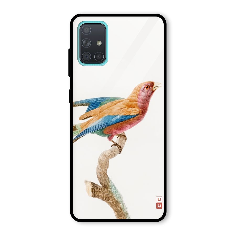Beautiful Bird Glass Back Case for Galaxy A71