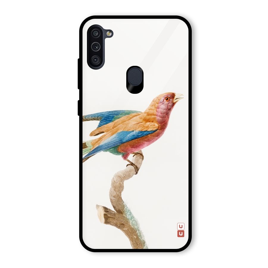Beautiful Bird Glass Back Case for Galaxy M11
