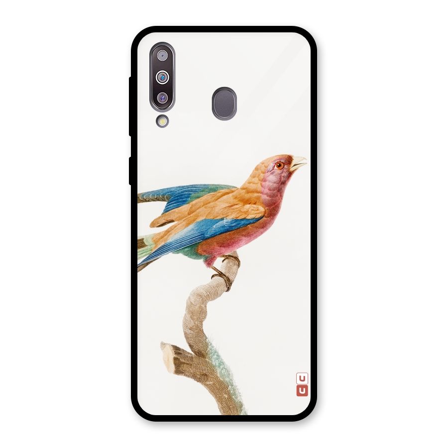 Beautiful Bird Glass Back Case for Galaxy M30