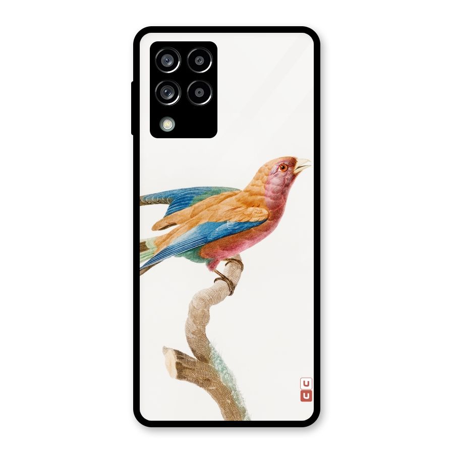 Beautiful Bird Glass Back Case for Galaxy M53 5G