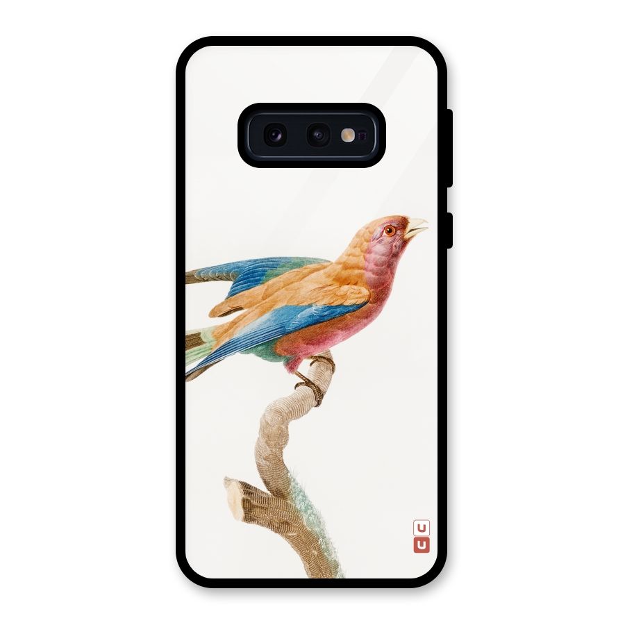 Beautiful Bird Glass Back Case for Galaxy S10e