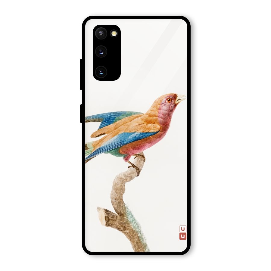 Beautiful Bird Glass Back Case for Galaxy S20 FE 5G