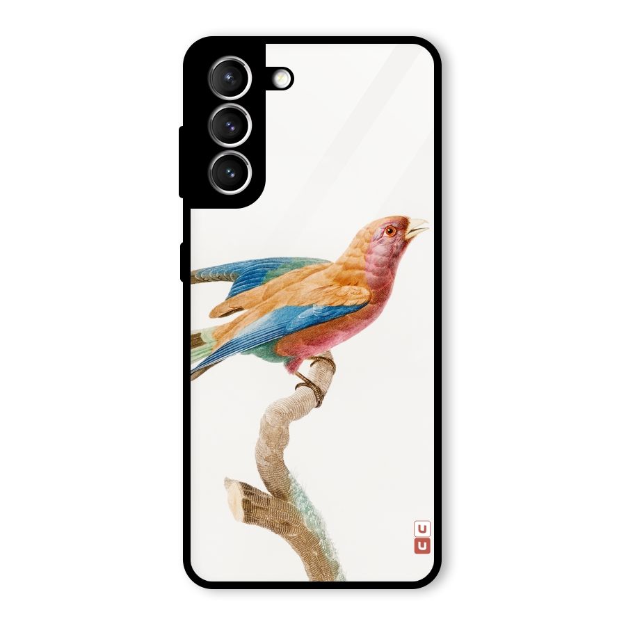 Beautiful Bird Glass Back Case for Galaxy S21 5G
