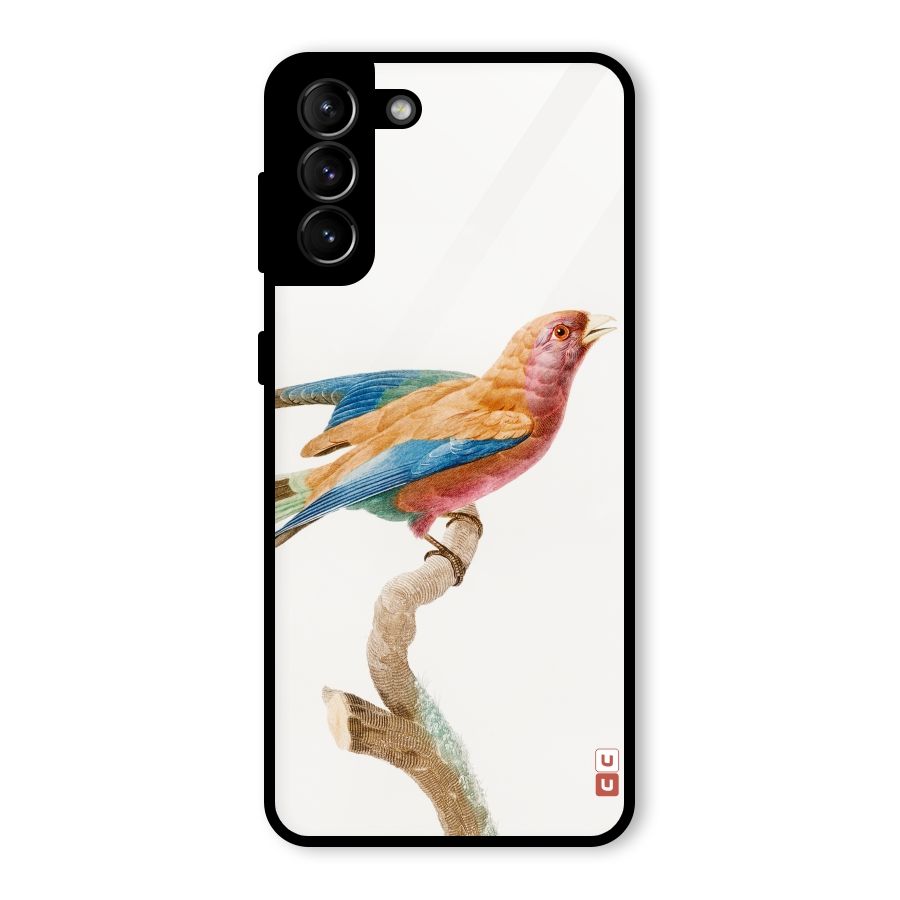 Beautiful Bird Glass Back Case for Galaxy S21 Plus