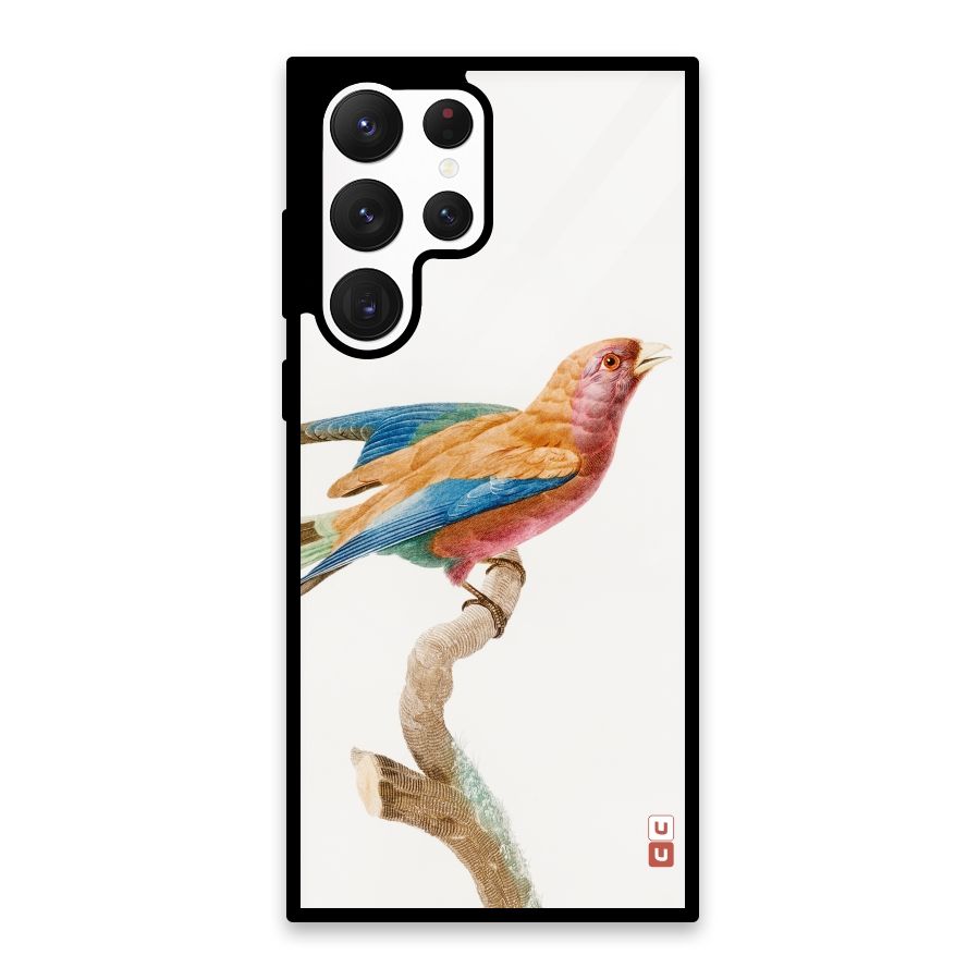Beautiful Bird Glass Back Case for Galaxy S22 Ultra 5G