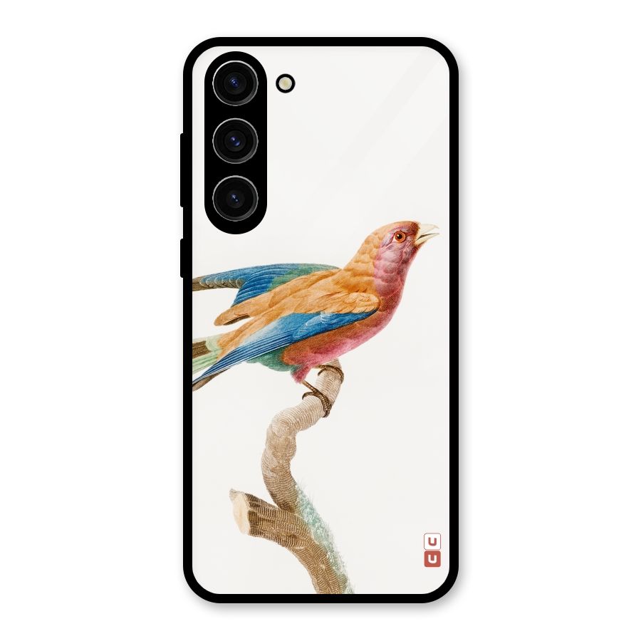 Beautiful Bird Glass Back Case for Galaxy S23 Plus