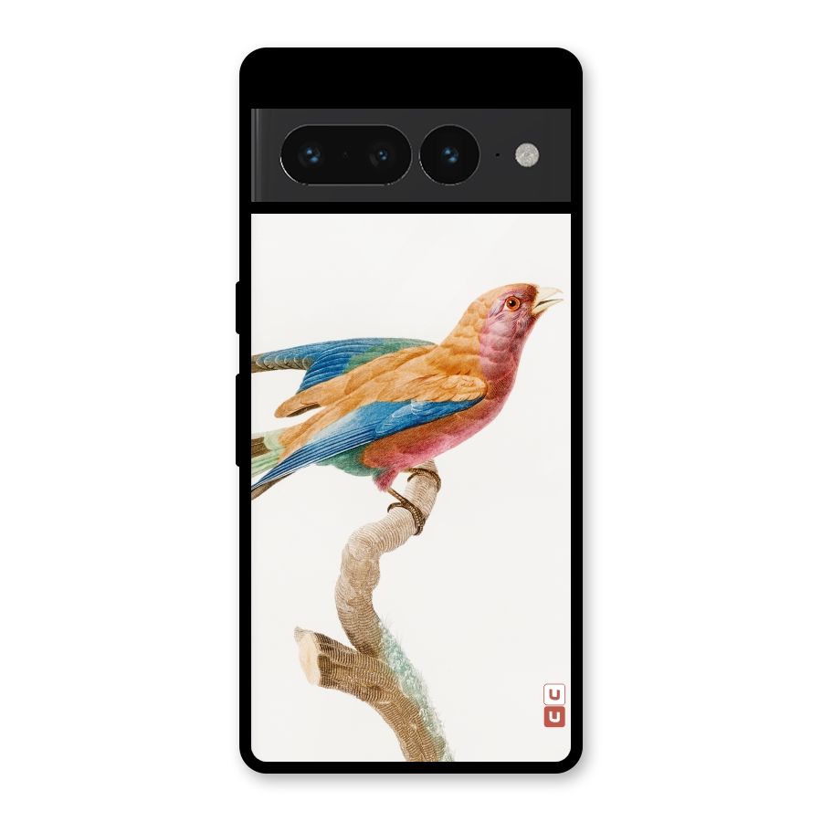Beautiful Bird Glass Back Case for Google Pixel 7 Pro
