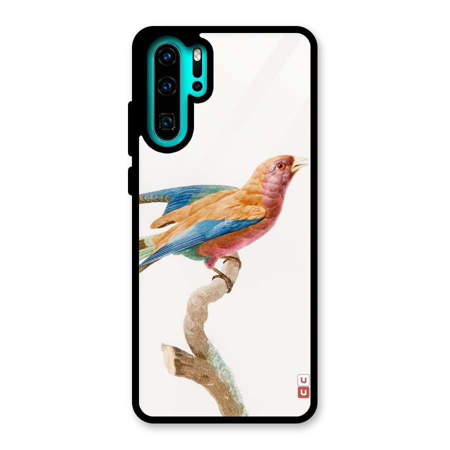 Beautiful Bird Glass Back Case for Huawei P30 Pro