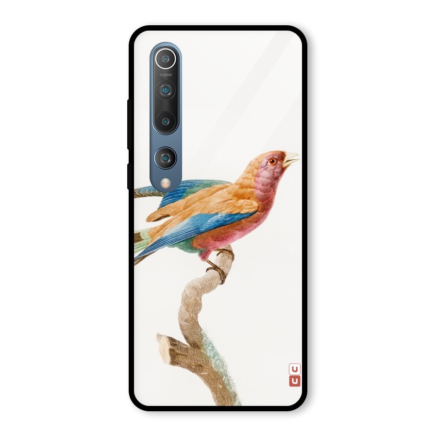 Beautiful Bird Glass Back Case for Mi 10
