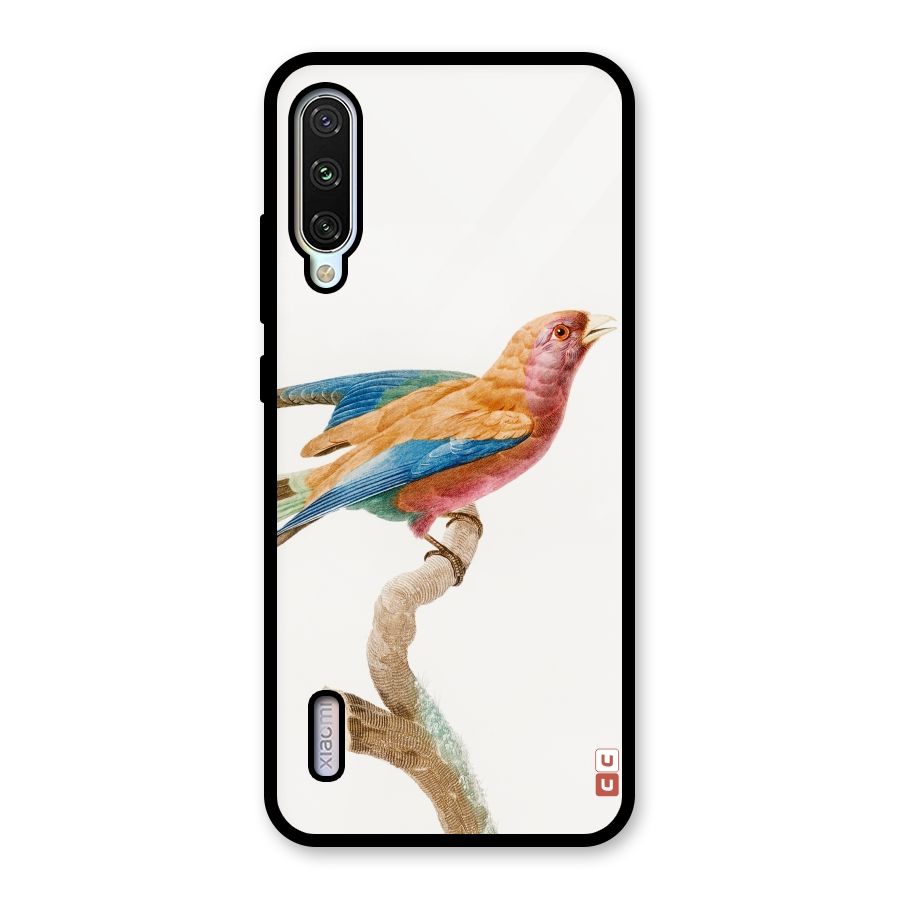 Beautiful Bird Glass Back Case for Mi A3