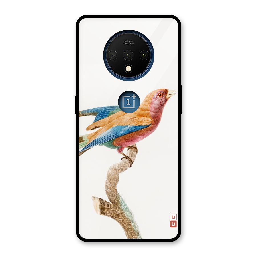 Beautiful Bird Glass Back Case for OnePlus 7T