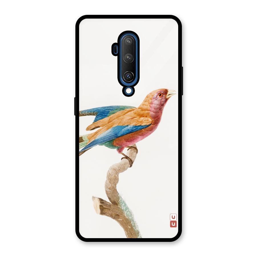 Beautiful Bird Glass Back Case for OnePlus 7T Pro