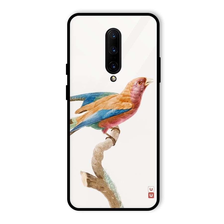 Beautiful Bird Glass Back Case for OnePlus 7 Pro