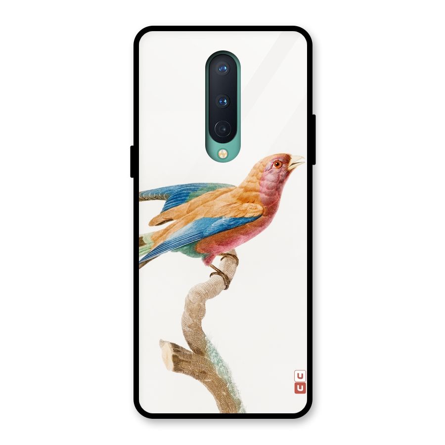 Beautiful Bird Glass Back Case for OnePlus 8
