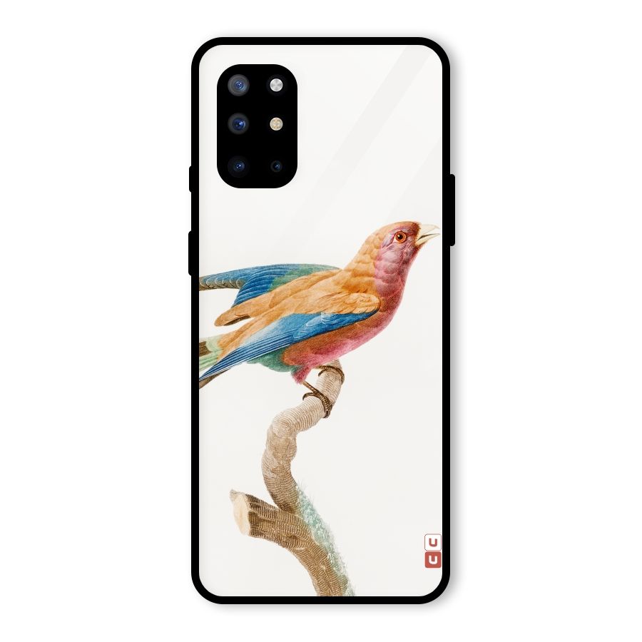 Beautiful Bird Glass Back Case for OnePlus 8T