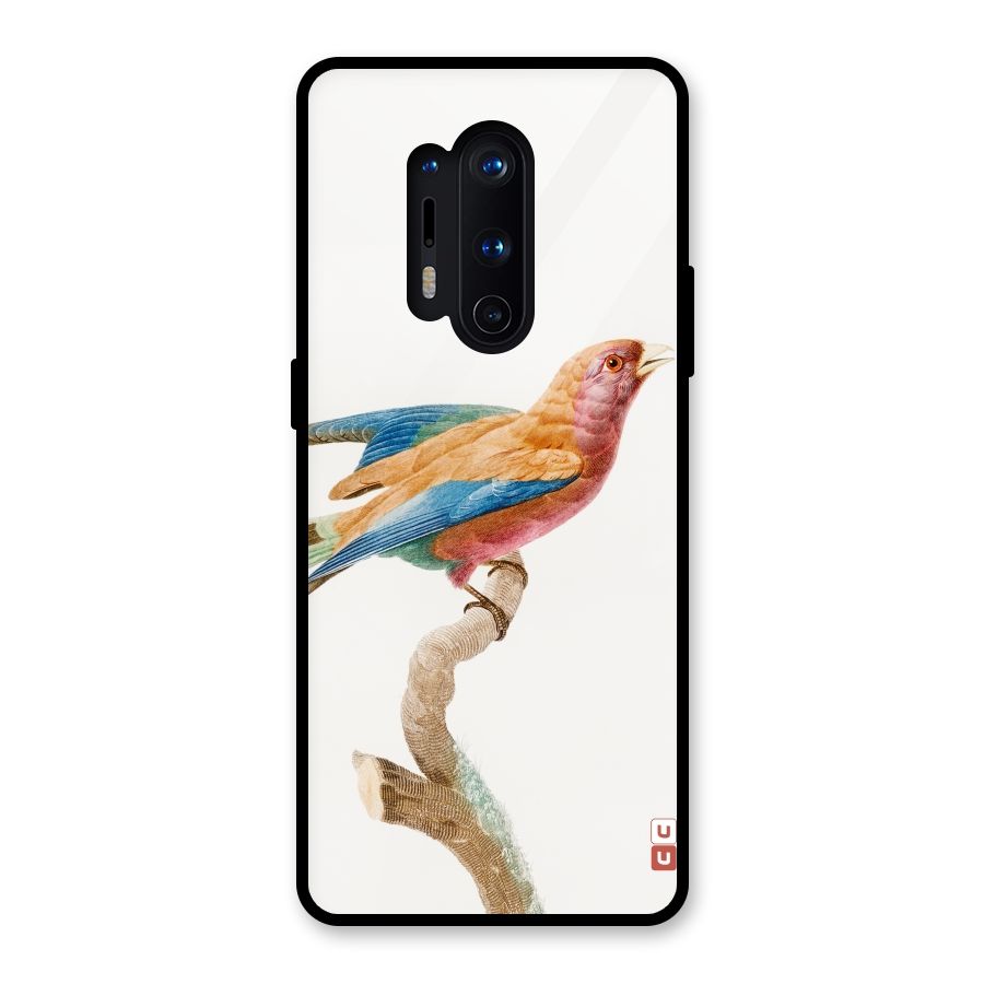 Beautiful Bird Glass Back Case for OnePlus 8 Pro