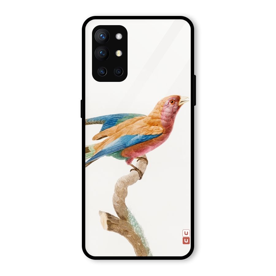 Beautiful Bird Glass Back Case for OnePlus 9R
