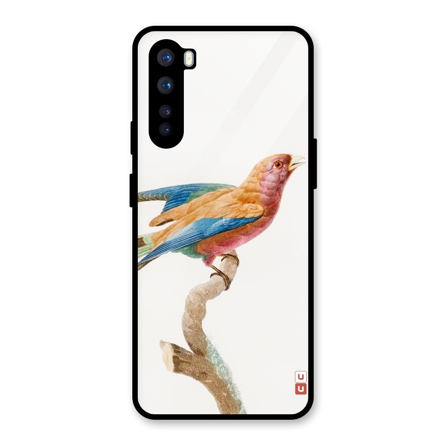 Beautiful Bird Glass Back Case for OnePlus Nord