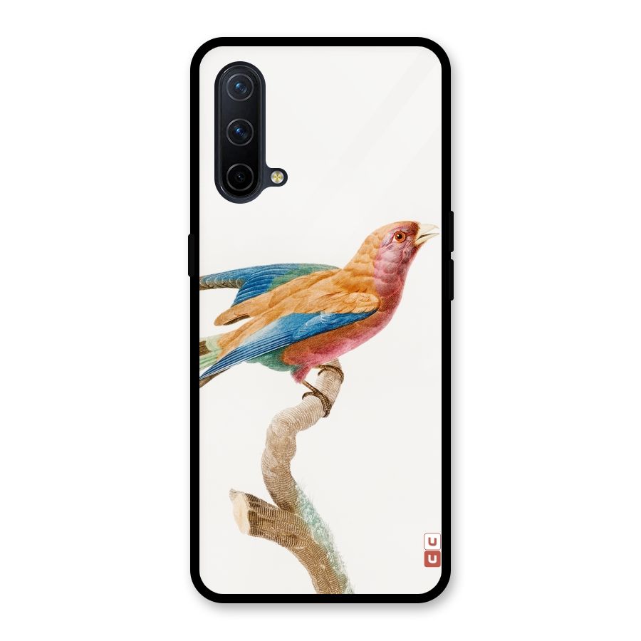 Beautiful Bird Glass Back Case for OnePlus Nord CE 5G