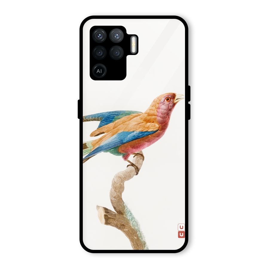 Beautiful Bird Glass Back Case for Oppo F19 Pro