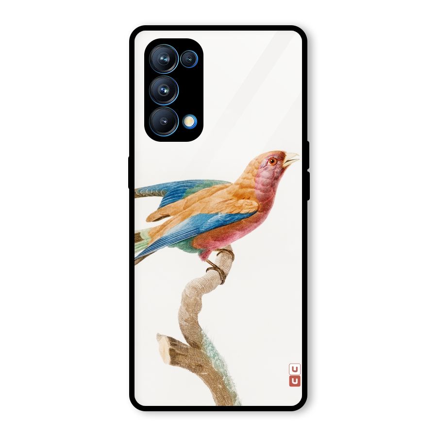 Beautiful Bird Glass Back Case for Oppo Reno5 Pro 5G