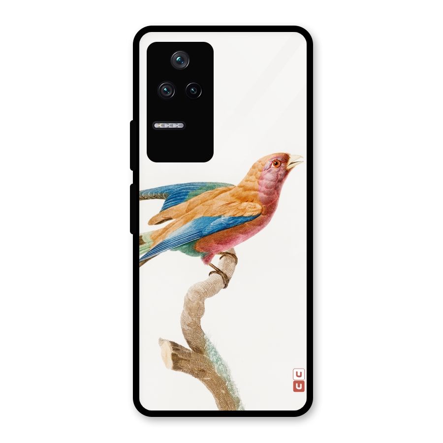 Beautiful Bird Glass Back Case for Poco F4 5G