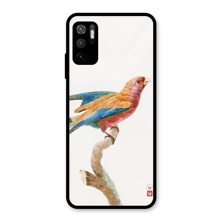 Beautiful Bird Glass Back Case for Poco M3 Pro 5G