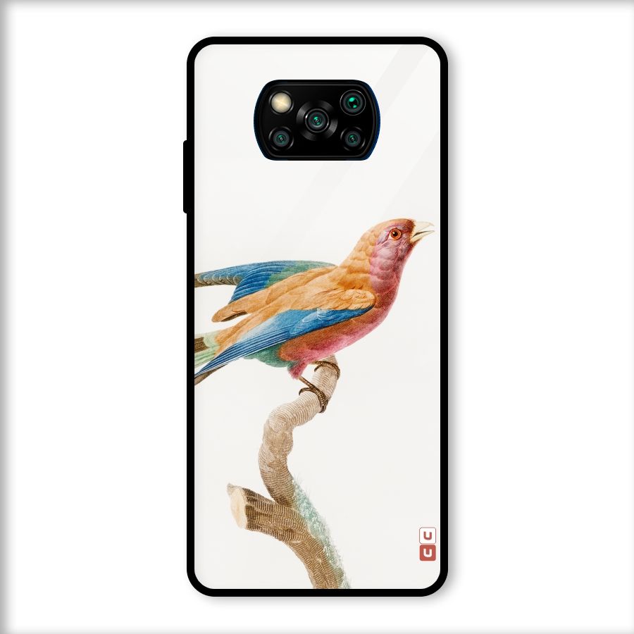Beautiful Bird Glass Back Case for Poco X3