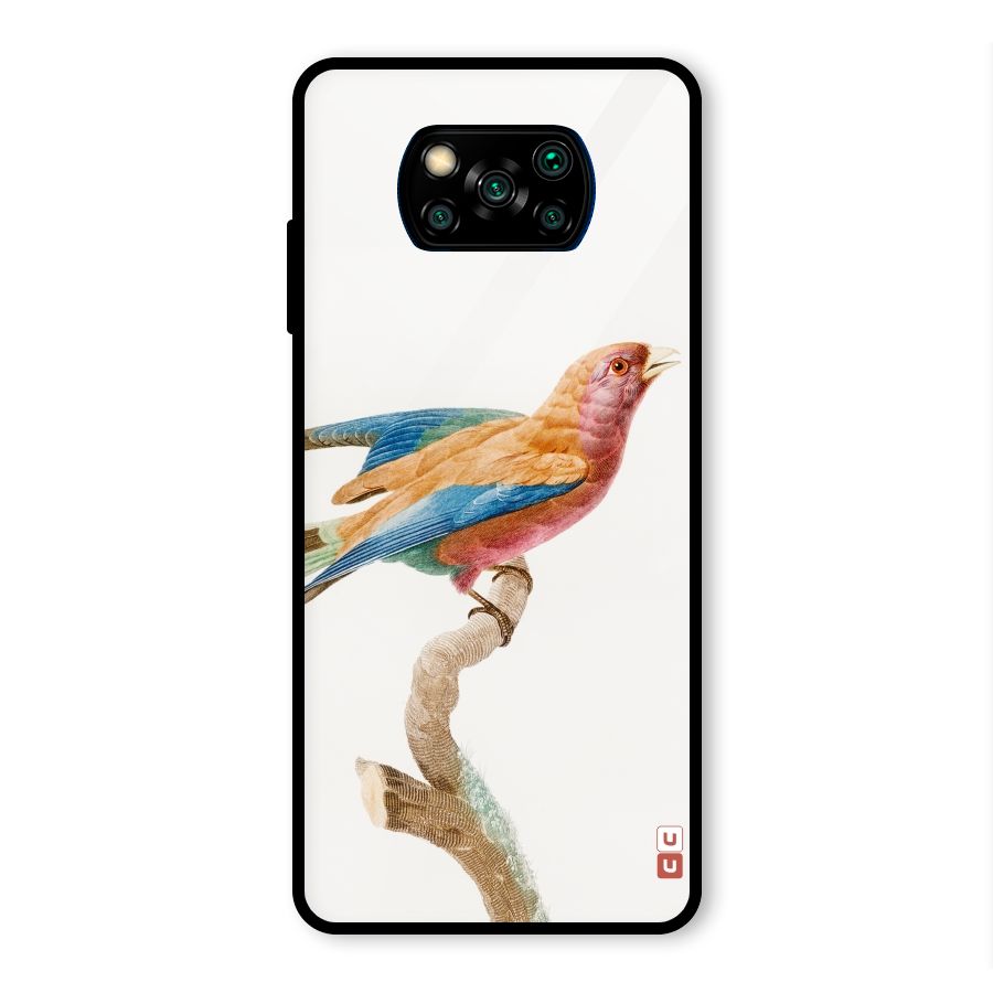 Beautiful Bird Glass Back Case for Poco X3 Pro