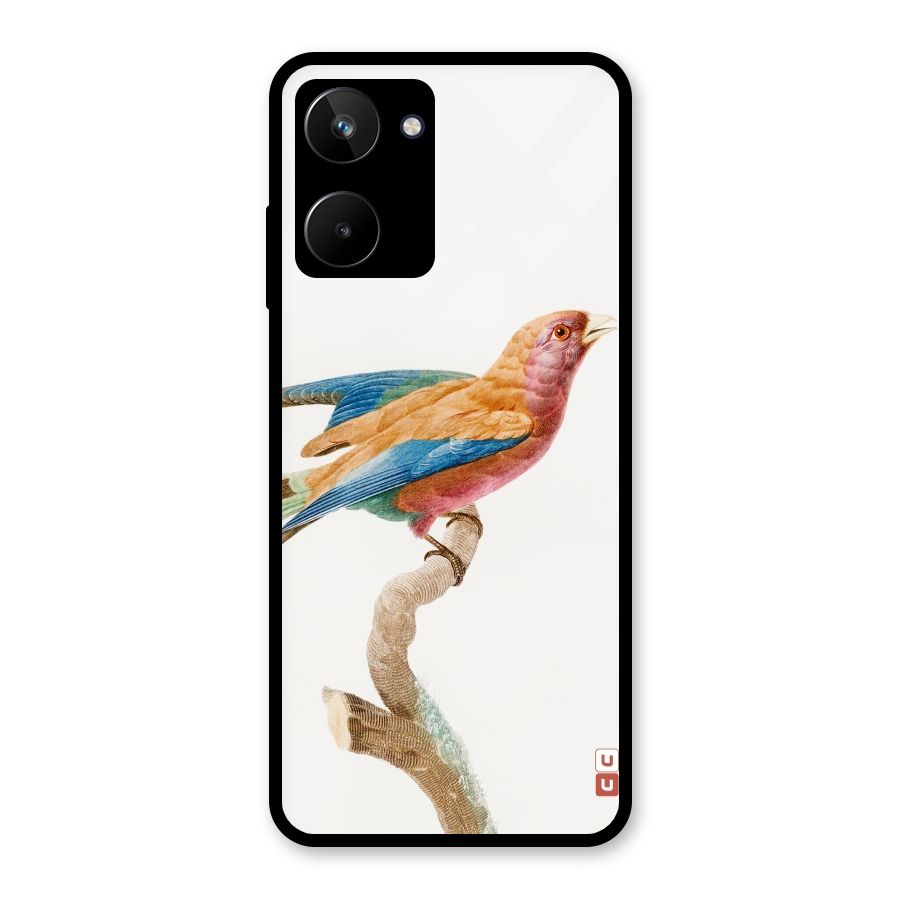 Beautiful Bird Glass Back Case for Realme 10