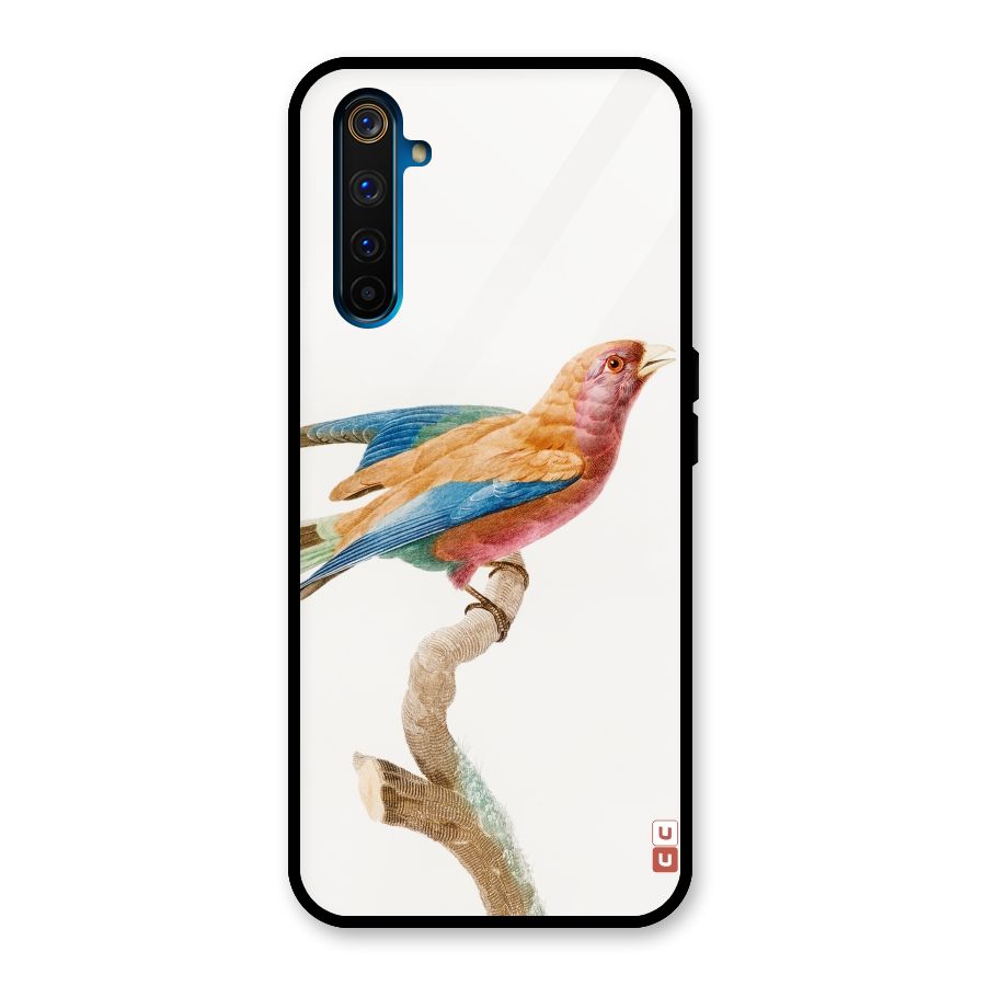 Beautiful Bird Glass Back Case for Realme 6 Pro
