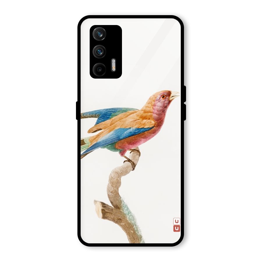 Beautiful Bird Glass Back Case for Realme GT 5G
