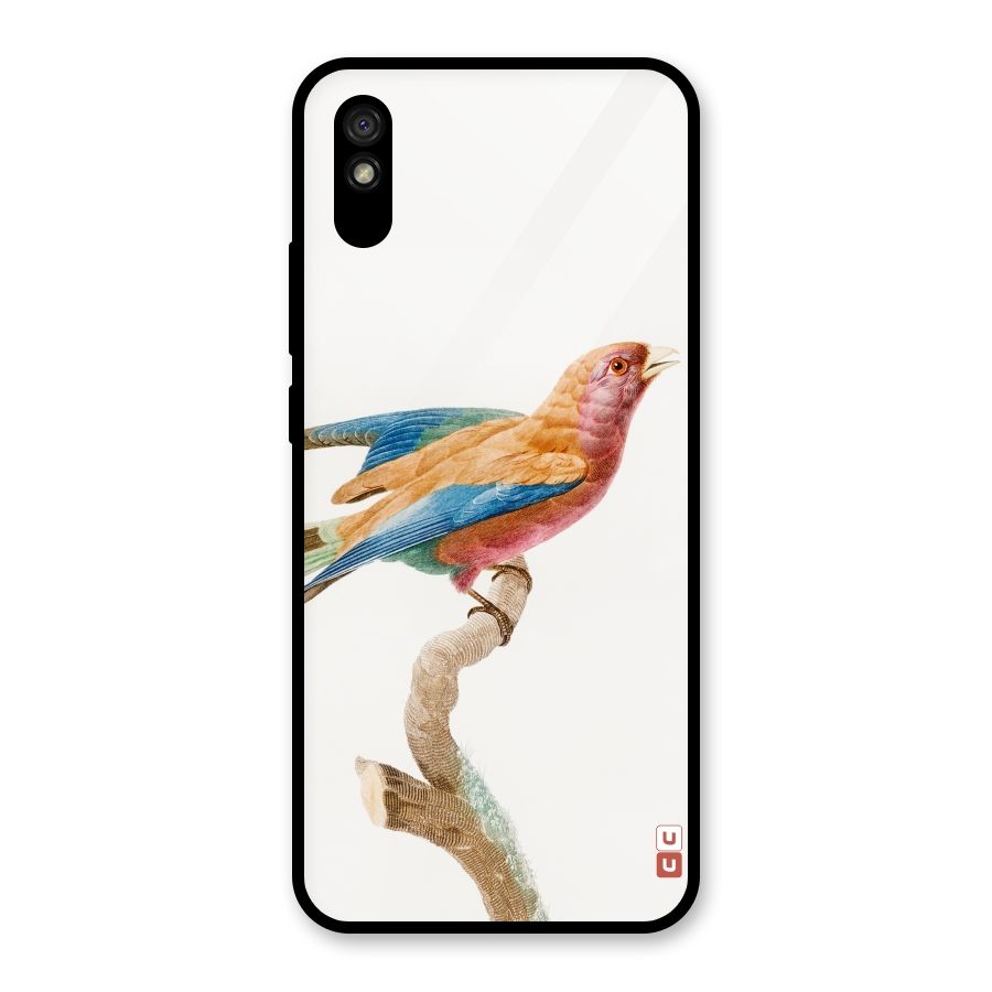 Beautiful Bird Glass Back Case for Redmi 9A