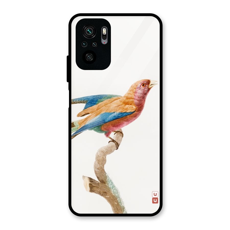 Beautiful Bird Glass Back Case for Redmi Note 10S