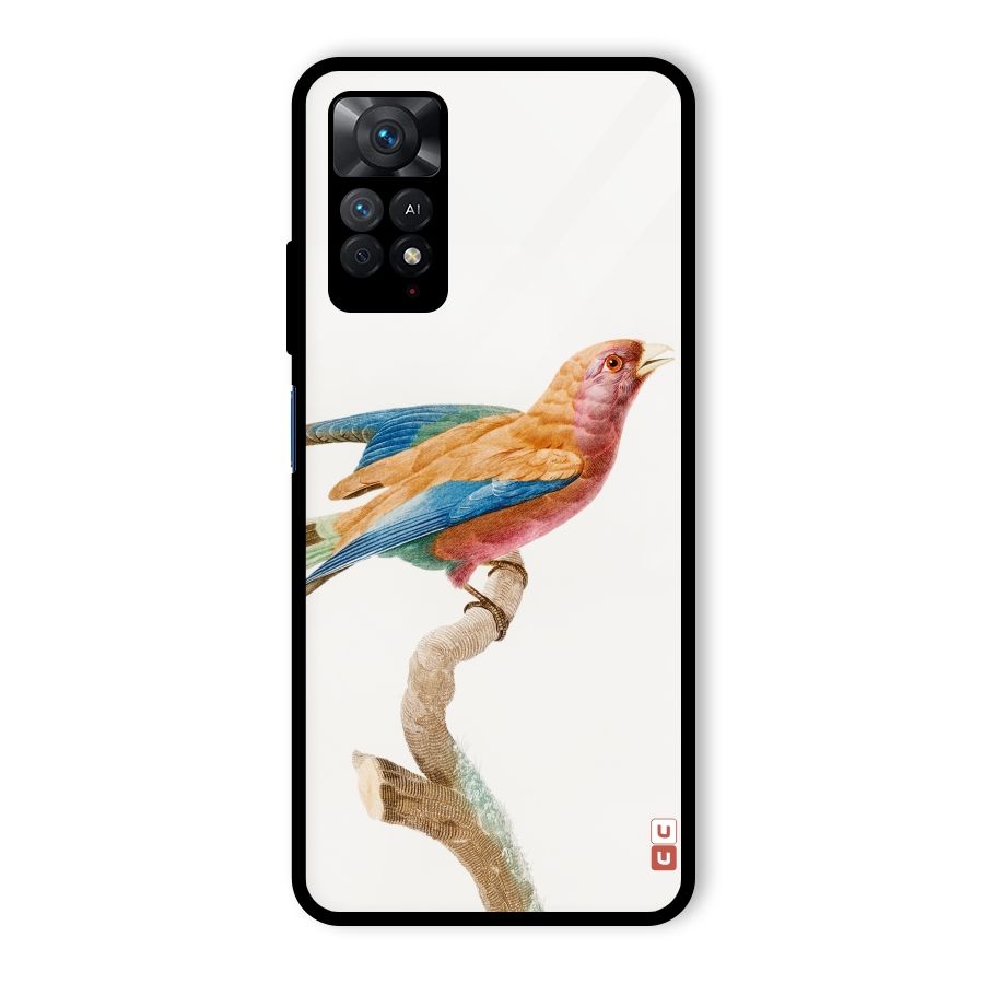 Beautiful Bird Glass Back Case for Redmi Note 11 Pro